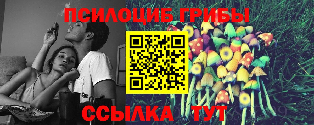 Галлюциногенные грибы Psilocybine cubensis  Вход с VPN  Иваново 